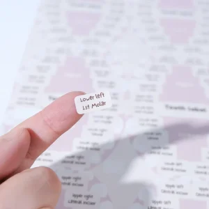 Box Printing Custom Creative CMYK Logo FSC Hologram Sticker Die Cut Coated Paper Sheet Label Stickers For Book Notebooks
