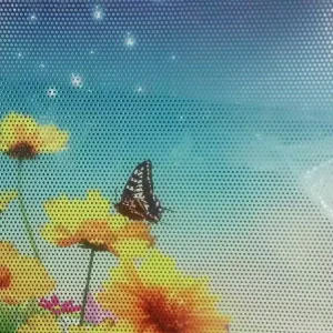 Cartoon Style UV Waterproof PVC Transparent Customizable Stickers Decorative Removable One Way Vision Vinyl Stickers for Glass B