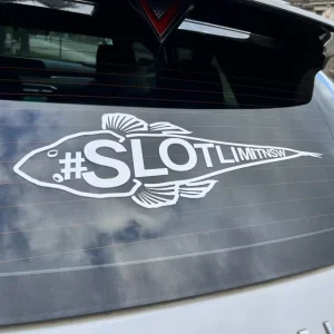 Clear Background Die Cut Glass Windshield Window White PVC Vinyl Transfer Letter Car Decals Custom Car Sticker