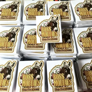 Custom Logo Eco Friendly Waterproof Self Adhesive Durable Scratch Proof Outdoor Use Sunlight Resistant Packaging Label Stickers