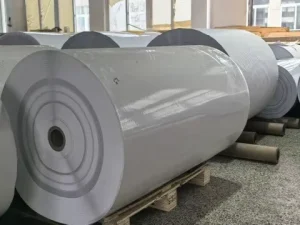 ECO Direct Thermal Label Jumbo Roll Factory High Quality Customized With Glassine