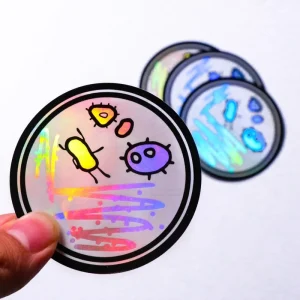 High Quality Durable Transparent Hologram Waterproof UV Resistant Custom Decal Transfer Decals Clear Logo Packaging Labels