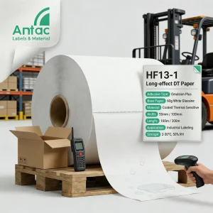 Waterproof Top Coated 70g DT Paper Hot Melt Adhesive Strong Adhesion Jumbo Roll Self-Adhesive Logistics Labels